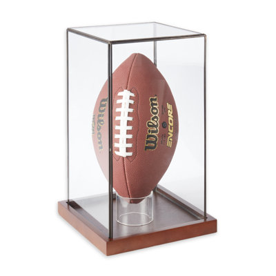 14" Display Case