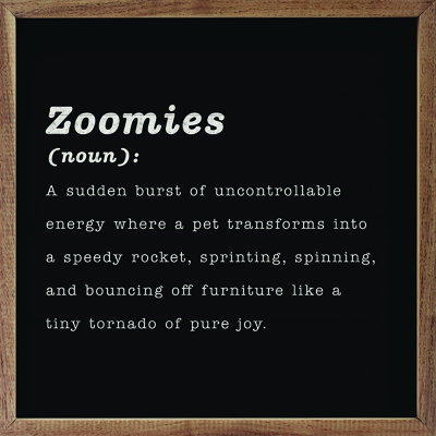 Zoomies Définition