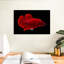 Betta rouge vif-1050755247