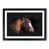 Black Framed selected