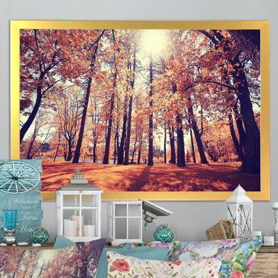 " Mystic Sunset In Orange Fall Forest II "
