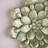 Succulent Wall Plaque