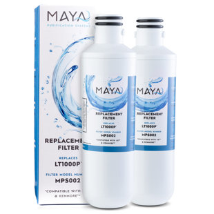 Replacement Filter (Set of 2)
