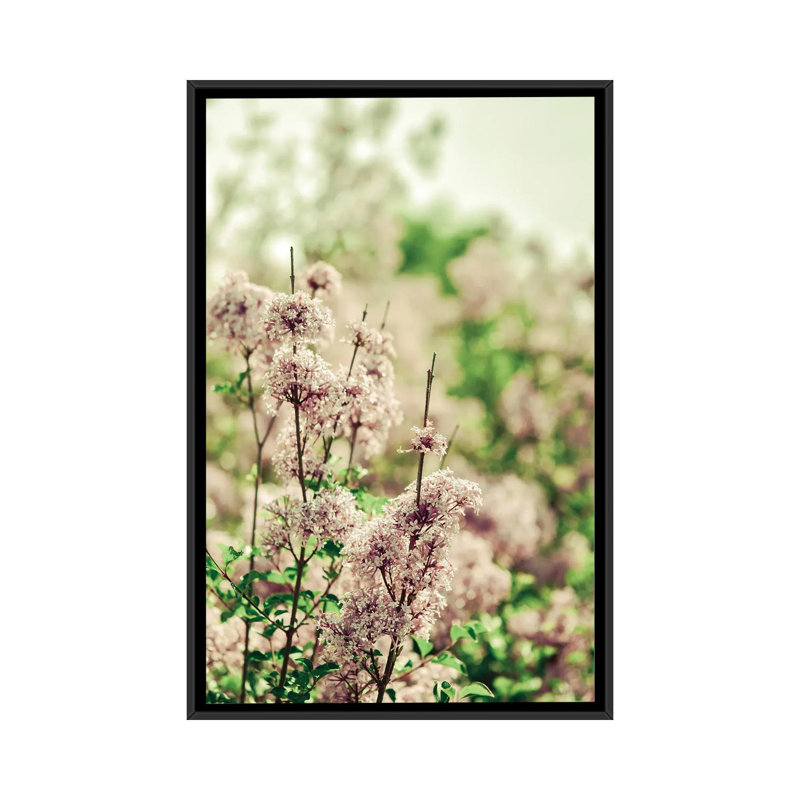 Hush My Love Lavender 1 Piece Floater Frame Wall Art on Canvas