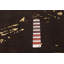 Tapis oriental brun foncé / crème noué à la main Oriental-1743606868