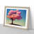 Oak Framed
