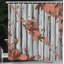 Ensemble de rideau de douche et crochets Autumn-95077503-95077505
