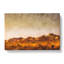 Joshua Trees - Wrapped Canvas-61854211