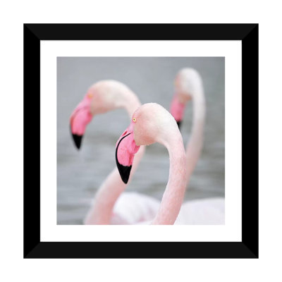 " Flamingo I " by Ben Heine