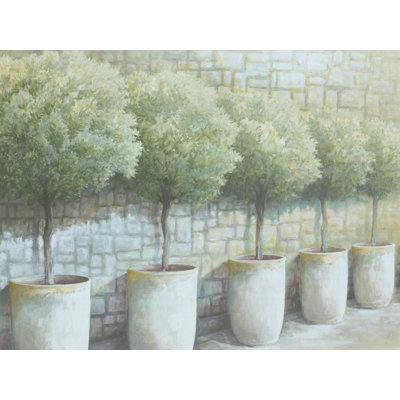" Potted Trees Stone Wall "
