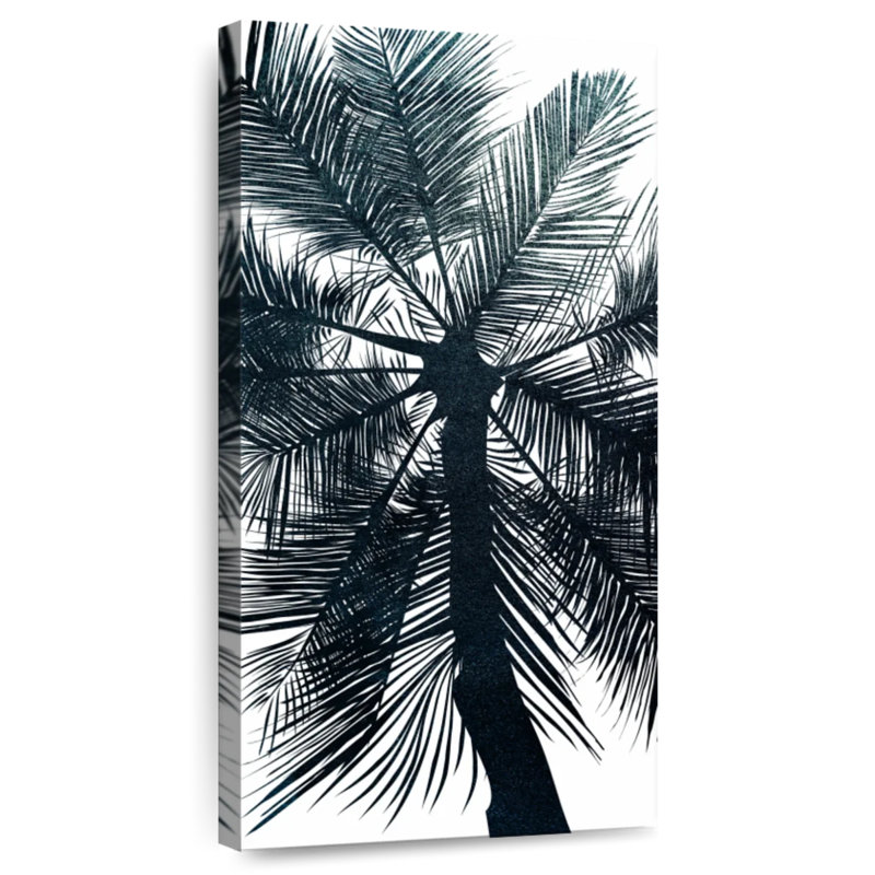 Palmier de Miami Beach