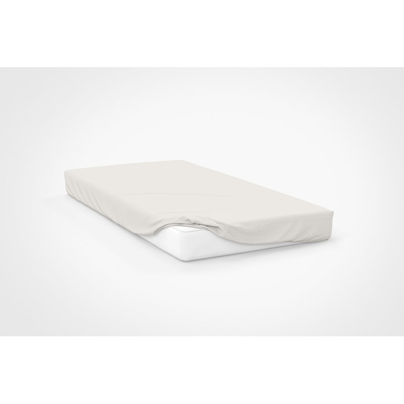 Sateen Fitted Sheet, Ivory, Single (3')
