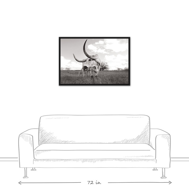 Bull photo encadrée sur toile, H 13,75 po x l 37,75 po