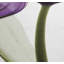 Rideau de douche Keira-Louisa-724157047