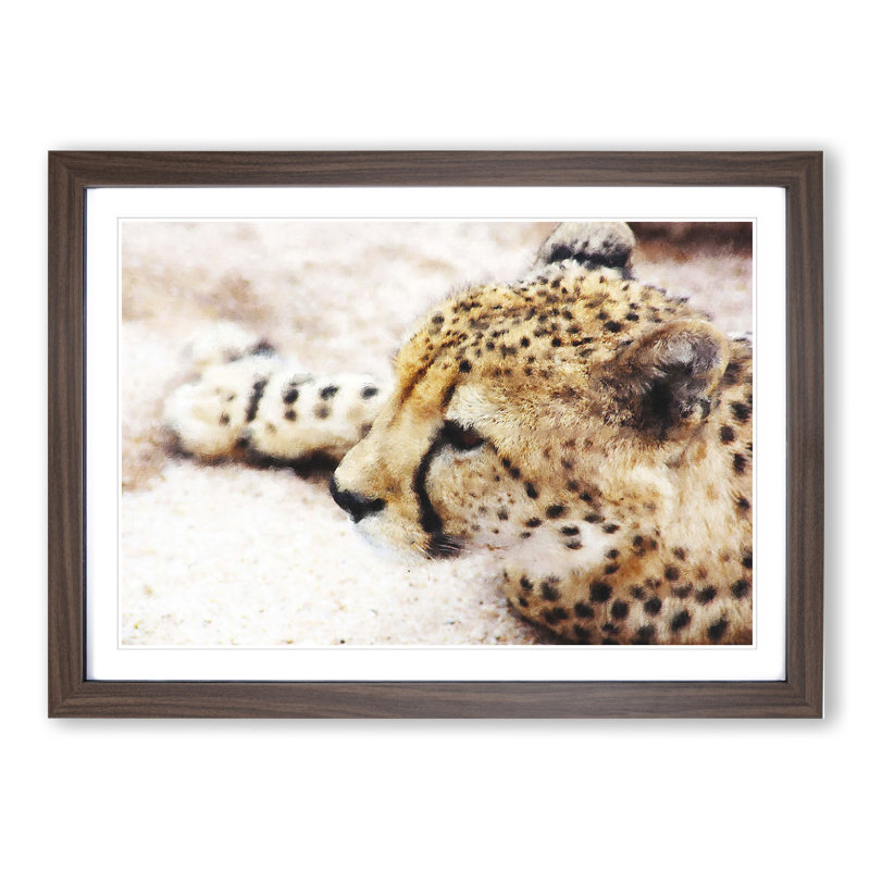 Cheetah Vol.1 - Framed Print, 27cm H x 36cm W x 2cm D, Walnut Framed