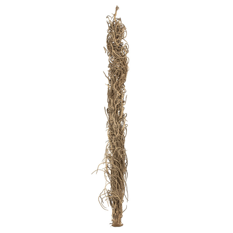 Faux Medusa Branch
