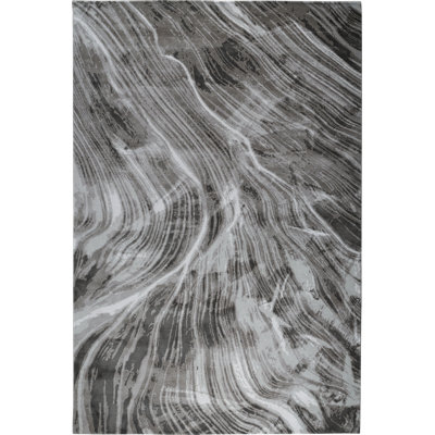 David Rockwell Falls Graphite Area Rug