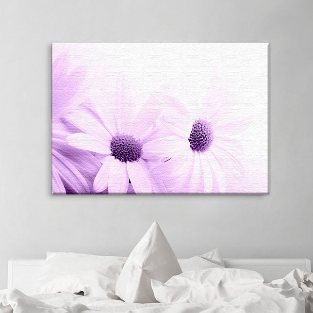 Camomile - Print on Canvas, 100cm H x 150cm W x 2cm D