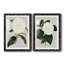 Camélia Japonica I - ensemble de 2 reproductions d'art sur papier encadré-184073059-184073058