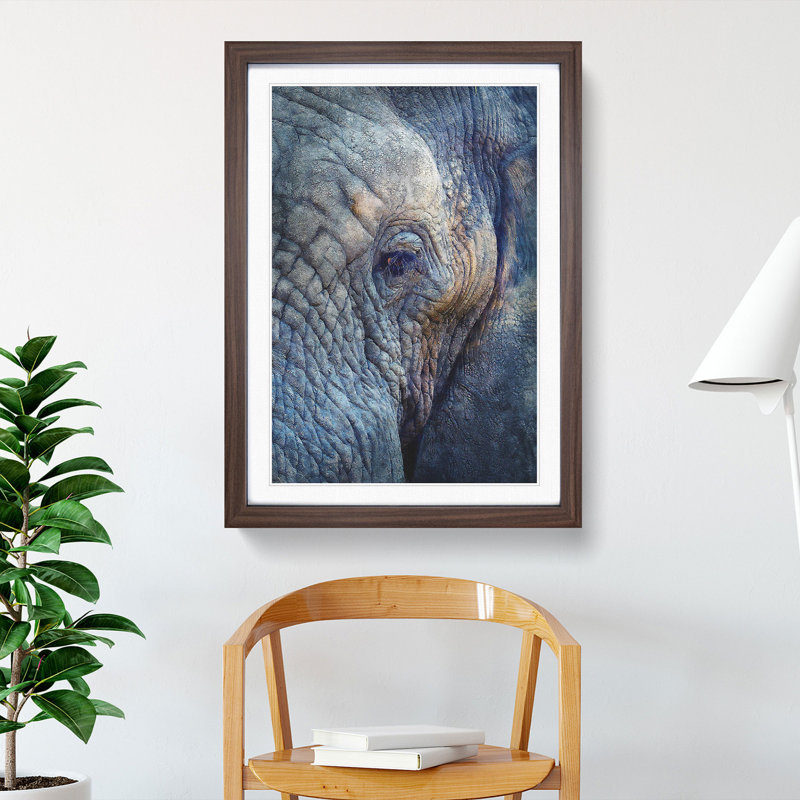 Blue Elephant - Picture Frame Photograph Print, 63cm H x 45cm W x 2cm D, Walnut Framed