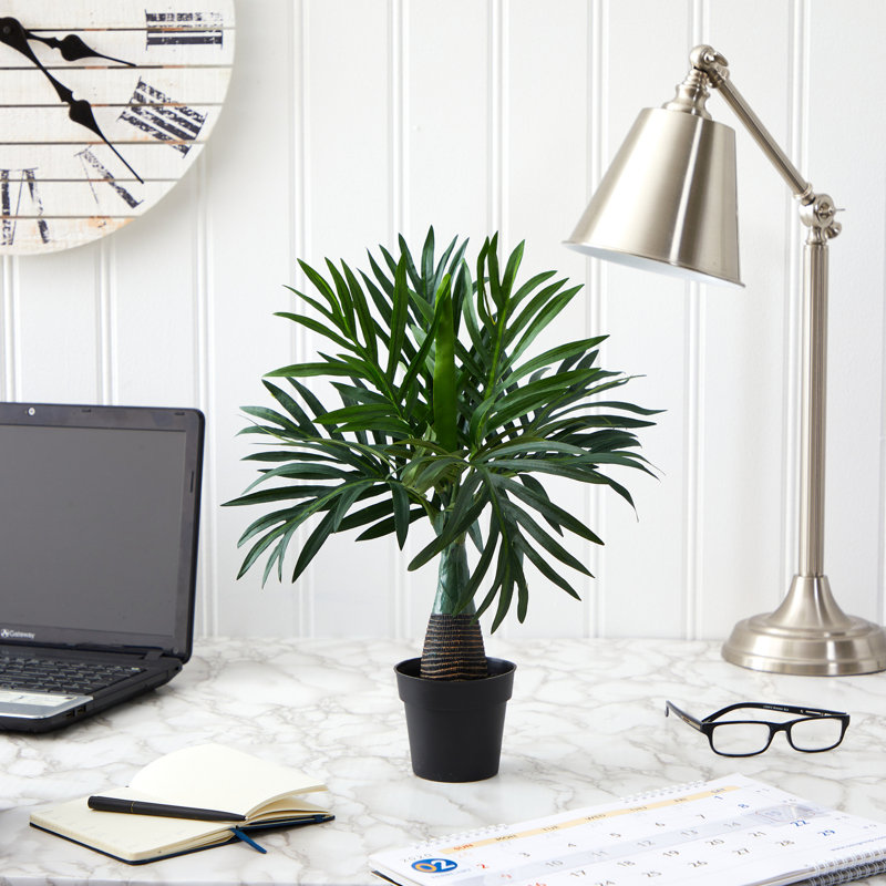  15.5in. Mini Areca Palm Artificial Plant