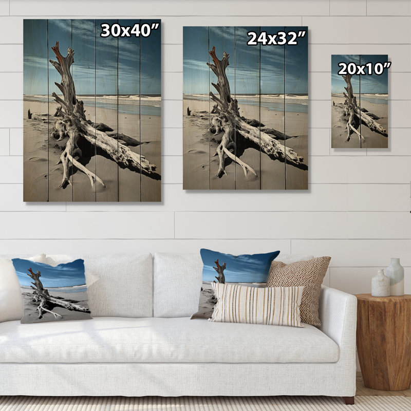 «Beach Driftwood Photo II» sur bois, H 32 po x l 24 po x P 0,78 po