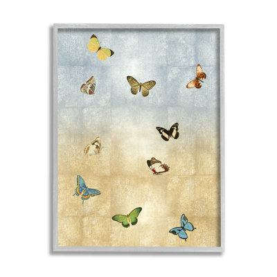 " Various Butterfly Insect Pattern " by Tina Blakely Painting Print