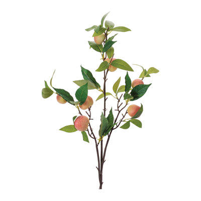 Branche de feuillage pêche