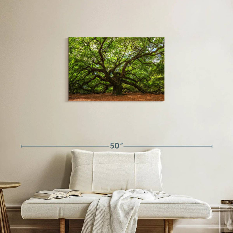 Alvord Gnarled Oak Tree, 20" H x 30" W