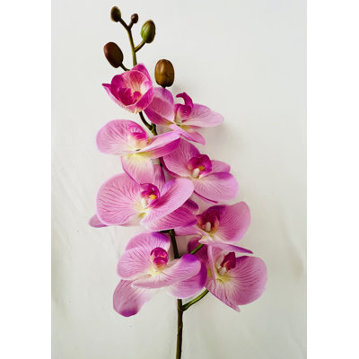 Artificial 9 Heads Phalaenopsis Real Touch Latex Orchid - 3 Stems /Purple