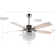 Maez 52'' Ceiling Fan with Light Kit