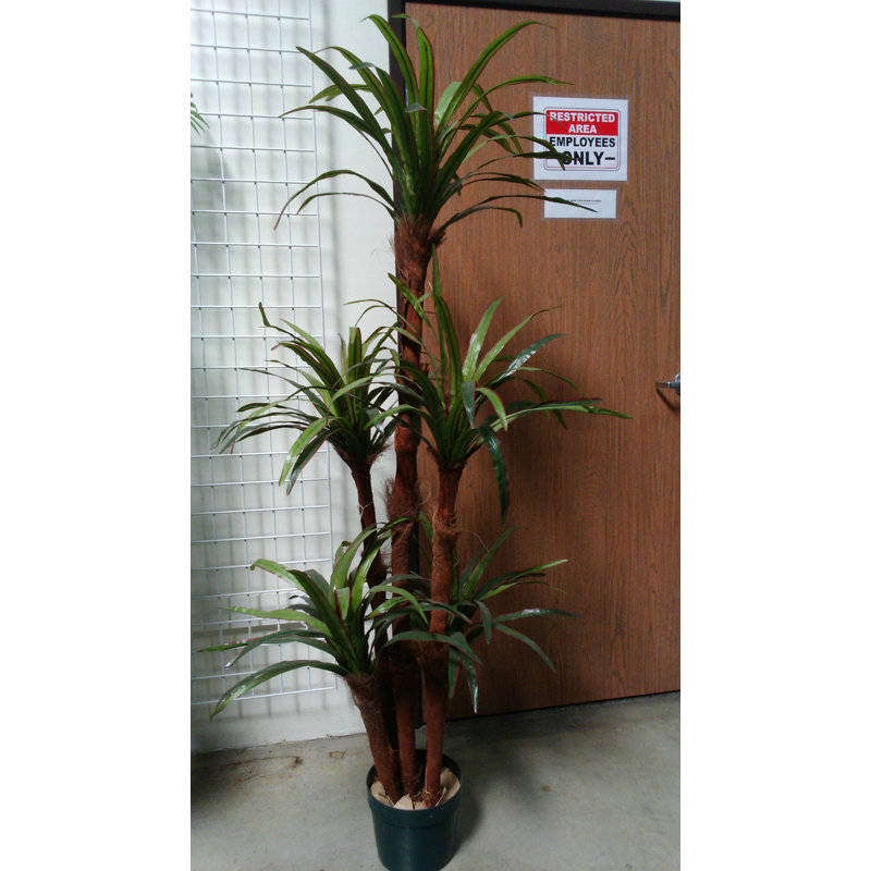 72'' Faux Dracaena Tree in Pot