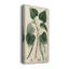 Toile Renditions Gallery