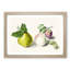 Pear & Plum by E.G. Van De Kasteele - Picture Frame Painting Print-55739213-55739212
