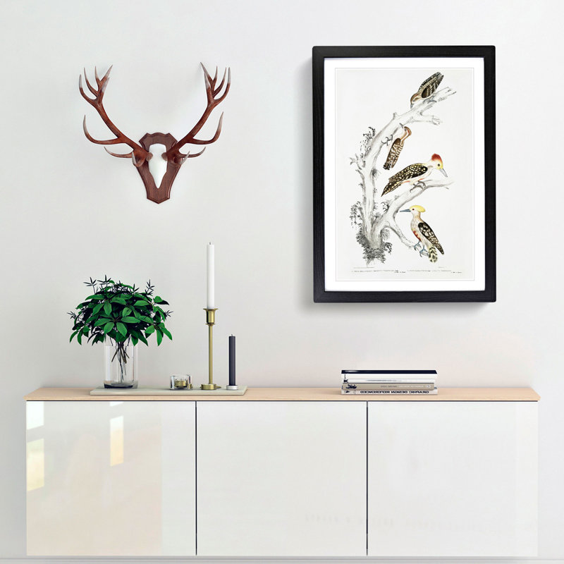 Illustration of Woodpeckers by John Edward Gray - Picture Frame Painting Print, 65cm H x 48cm W x 2cm D, Black Framed