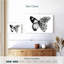 Brampt papillon en fleurs I-107717128