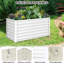 Planter Box