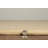 Area Rug-125400564