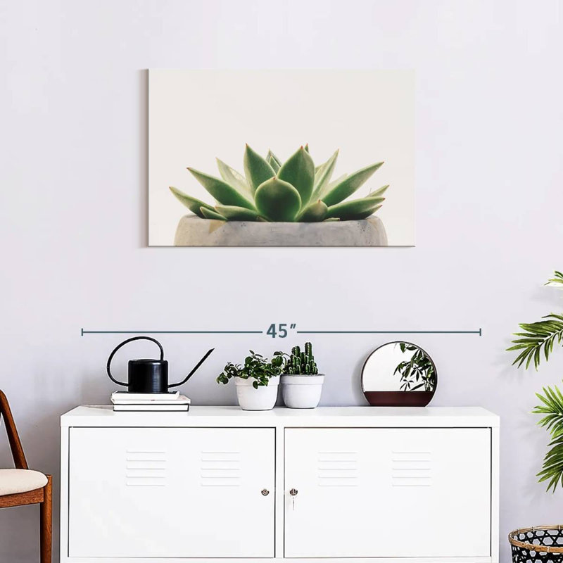 Harnek Stone Pot Succulent, 20" H x 30" W