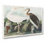 White Ibis Bird Lobster by John Audubon - Wrapped Canvas Painting-55305274