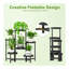 Plant Stand
