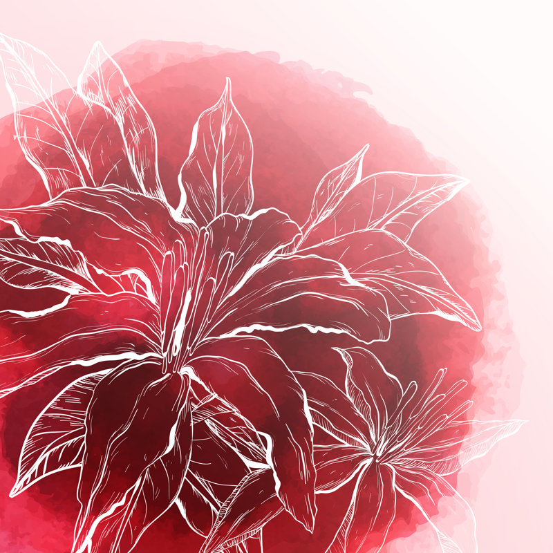 Flower by Mirifada - Wrapped Canvas Print, 30cm H x 30cm W x 3.8cm D