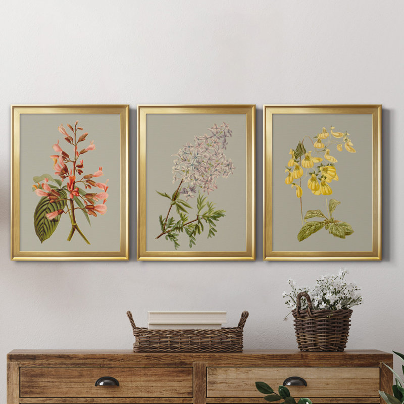 «Botanical Array I», ensemble de 3 impressions sur toile encadrées, H 26,5 po x l 109,5 po x P 1,5 po, Doré