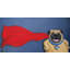 Mike Taylor - Wrapped Canvas Print-19626436