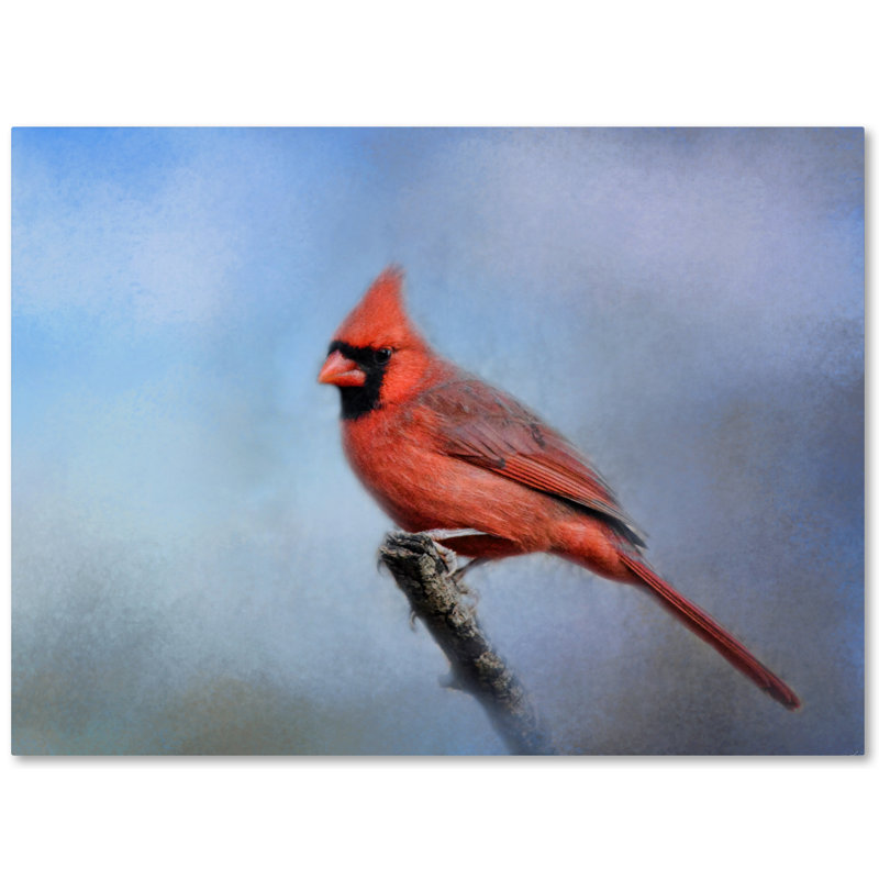 «Cardinal at First Frost», reproduction d'art graphique sur toile tendue Vidur, H 18 po x l 24 po