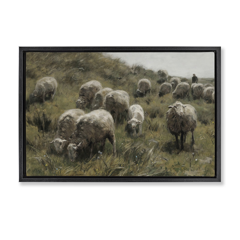 «Sheep At Pasture», toile flottante encadrée par RileyB, Cadre flottant noir de jais, H 17 po x l 25 po
