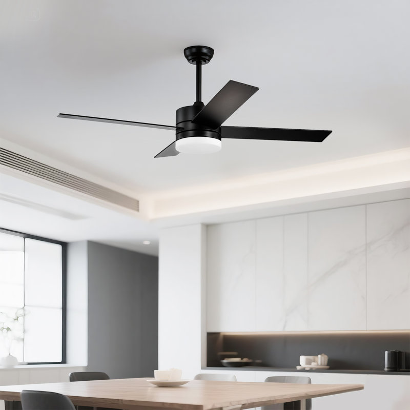 Avamaria 52'' Ceiling Fan with LED Lights, Black