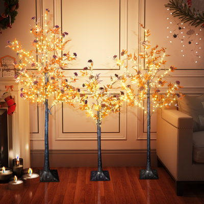 Lighted Christmas Tree