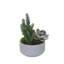 Faux Cactus Succulent in Pot
