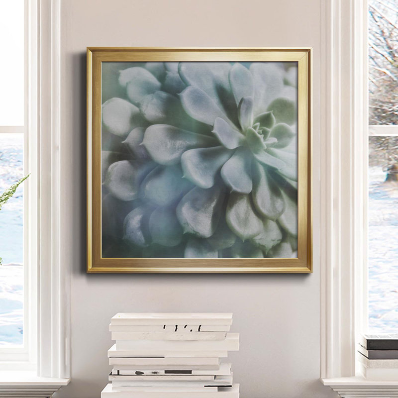Soft Succulent I - peinture sur toile encadrée, Cadre doré, H 34,5 po x l 34,5 po x P 1,5 po